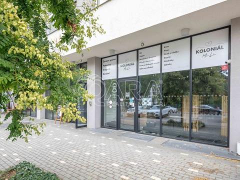 Pronájem obchodního prostoru, Praha - Kobylisy, Střelničná, 84 m2