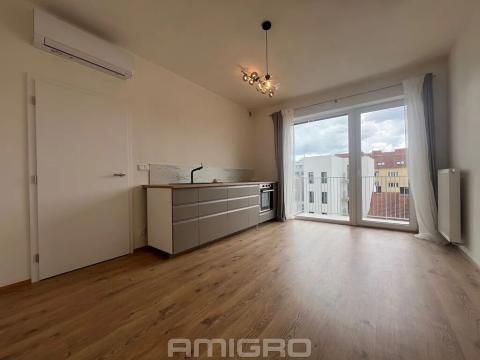Pronájem bytu 1+kk, Brno, Křenová, 27 m2