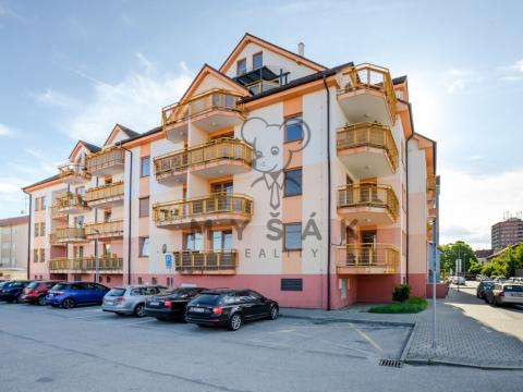 Pronájem bytu 1+kk, České Budějovice - České Budějovice 3, U Trojice, 31 m2