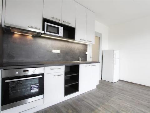 Pronájem bytu 1+kk, Brno, třída Generála Píky, 28 m2