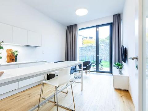 Pronájem bytu 1+kk, Praha - Veleslavín, Na dračkách, 26 m2