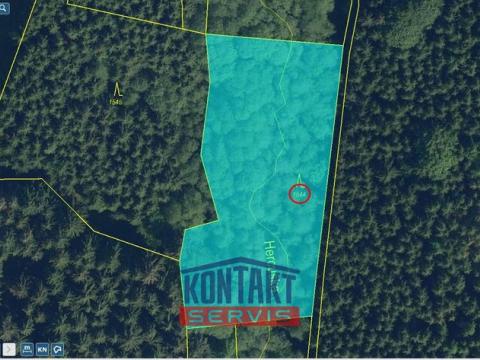 Prodej lesa, Košťálov - Kundratice, 3399 m2