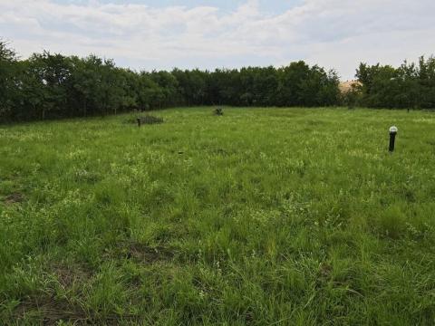 Prodej pozemku pro bydlení, Dymokury, 1000 m2