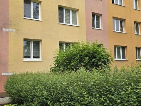 Pronájem bytu 3+1, Most, 1. máje, 69 m2