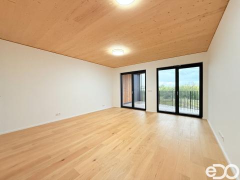 Pronájem bytu 1+kk, Praha, Nekonečného, 42 m2