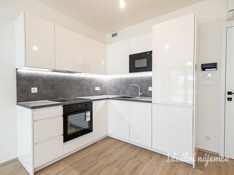 Pronájem bytu 1+kk, Praha - Žižkov, Malešická, 45 m2