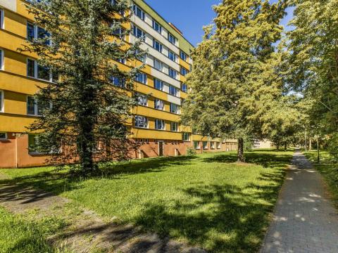 Pronájem bytu 2+kk, České Budějovice - České Budějovice 3, Puklicova, 36 m2