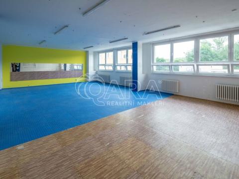 Pronájem kanceláře, Mělník, Bezručova, 261 m2