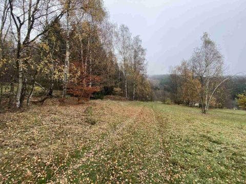 Prodej pole, Chvalšiny, 1158 m2