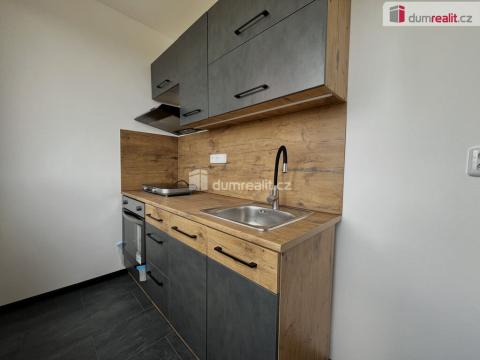 Pronájem bytu 1+kk, Krupka, Sídliště, 28 m2