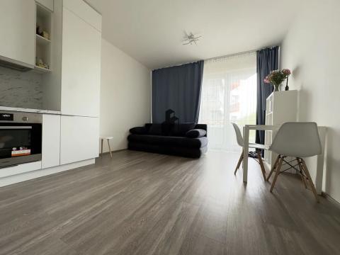Pronájem bytu 1+kk, Praha - Hostivař, Švehlova, 35 m2