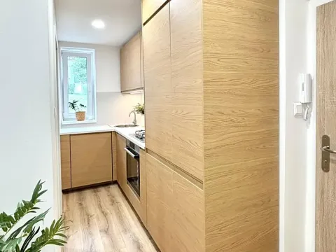 Pronájem bytu 3+1, Meziboří, Hornická, 62 m2