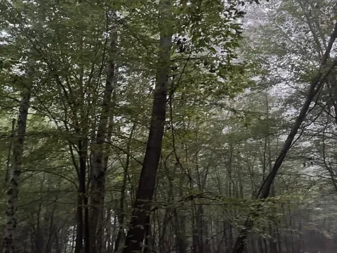 Prodej pozemku, Mladá Boleslav, 9466 m2