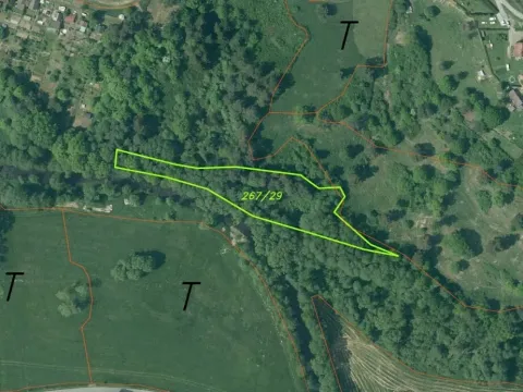 Dražba louky, Kaplice, 4259 m2