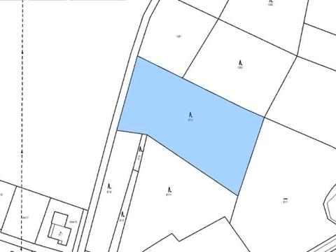 Prodej lesa, Zdětín, 12543 m2