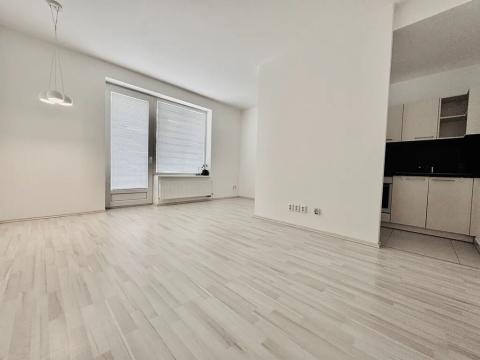 Pronájem bytu 1+kk, Brno, U Leskavy, 37 m2