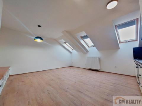 Pronájem bytu 1+kk, Olomouc - Hodolany, Holická, 38 m2