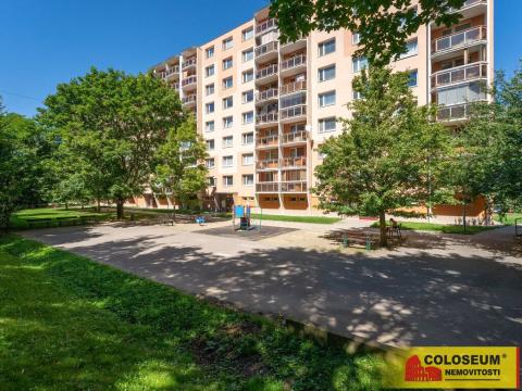 Prodej bytu 1+1, Vyškov - Dědice, 33 m2