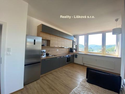 Pronájem bytu 2+kk, Ústí nad Labem - Ústí nad Labem-centrum, Velká Hradební, 74 m2