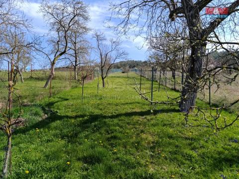 Prodej zahrady, Čebín, 1263 m2