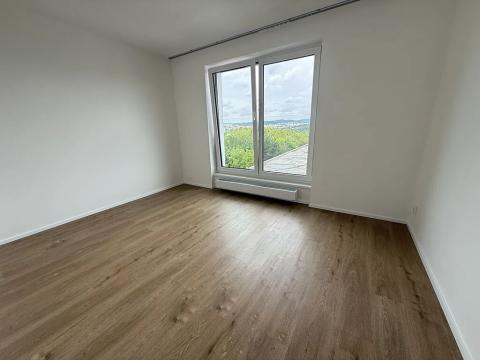 Pronájem bytu 2+kk, Brno, třída Generála Píky, 51 m2