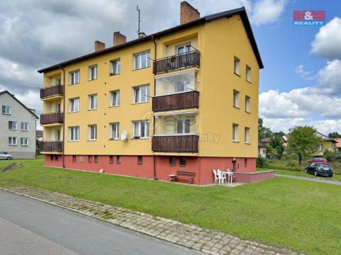 Prodej bytu 3+1, Černovice, Družstevní, 56 m2