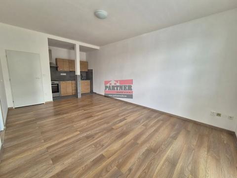 Pronájem bytu 2+kk, Planá nad Lužnicí, Průmyslová, 56 m2