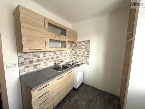 Prodej bytu 1+1, Litvínov - Chudeřín, Horská, 29 m2