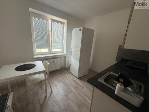Pronájem bytu 1+1, Most, Lesní, 30 m2