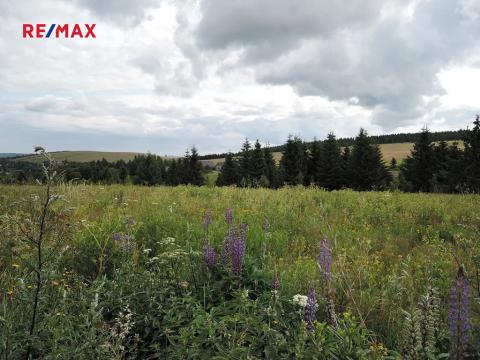 Prodej komerčního pozemku, Loučná pod Klínovcem, 700 m2