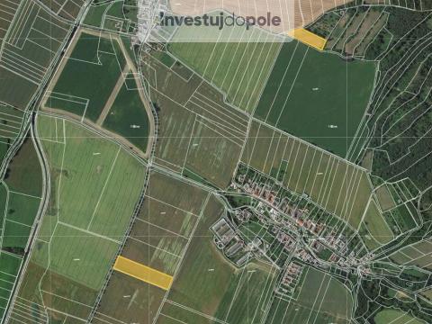 Prodej pole, Bezděčí u Trnávky, 2276 m2