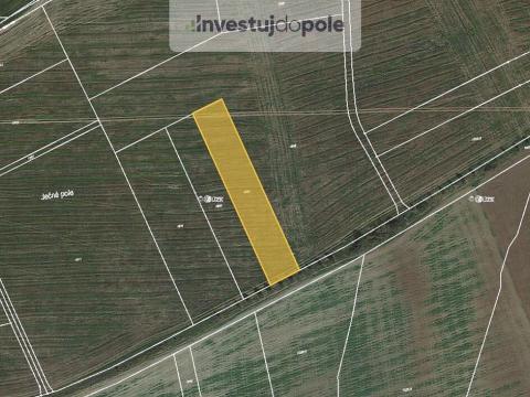 Prodej pole, Zbůch, 1090 m2