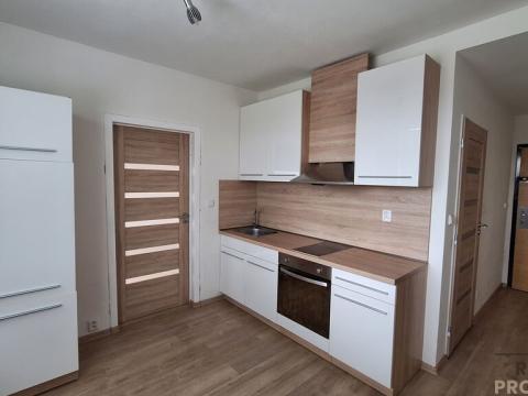 Pronájem bytu 1+1, Ústí nad Labem, Kmochova, 32 m2