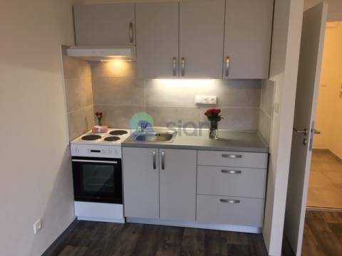 Pronájem bytu 1+kk, Ostrava - Výškovice, Lumírova, 26 m2