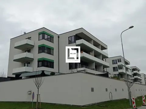 Pronájem bytu 2+kk, Olomouc, Loudova, 66 m2