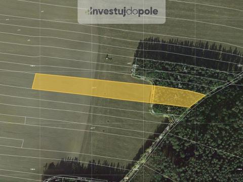 Prodej pole, Novosedly nad Nežárkou, 10295 m2