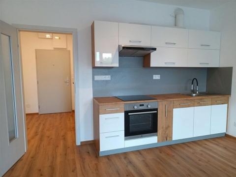 Pronájem bytu 1+kk, České Budějovice - České Budějovice 3, Riegrova, 48 m2
