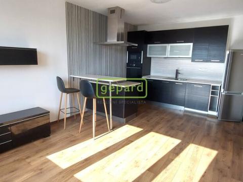 Pronájem bytu 2+kk, České Budějovice, Papírenská, 41 m2