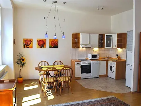 Pronájem bytu 2+kk, Praha - Žižkov, Vlkova, 52 m2
