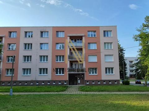 Pronájem bytu 2+1, Domažlice, Švabinského, 58 m2
