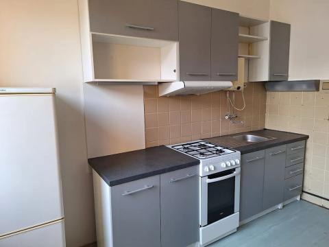 Pronájem bytu 1+1, Praha - Podolí, Podolská, 40 m2