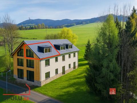 Prodej bytu 1+kk, Dolní Morava - Velká Morava, 46 m2