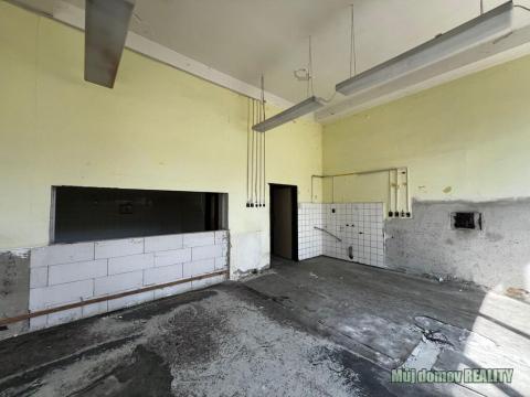 Pronájem výrobních prostor, Praha - Vysočany, Lisabonská, 250 m2