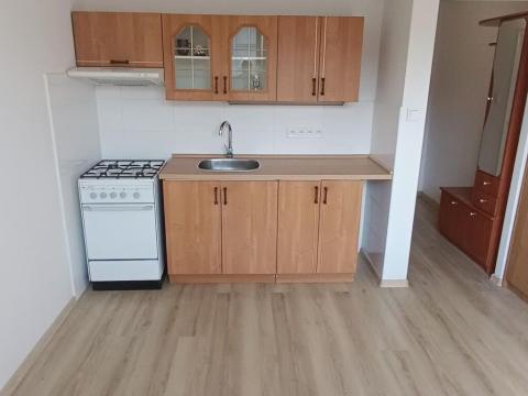 Pronájem bytu 1+1, Děčín - Děčín III-Staré Město, Jezdecká, 36 m2