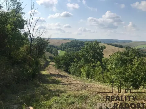 Prodej zahrady, Kobeřice u Brna, 2052 m2