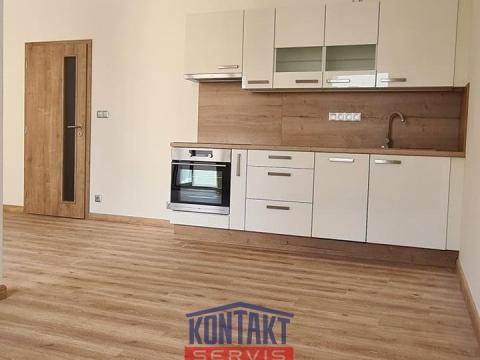 Pronájem bytu 1+kk, České Budějovice - České Budějovice 2, 48 m2