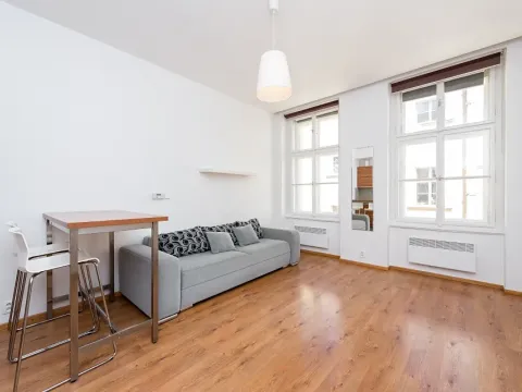 Pronájem bytu 1+kk, Praha - Žižkov, Vlkova, 25 m2