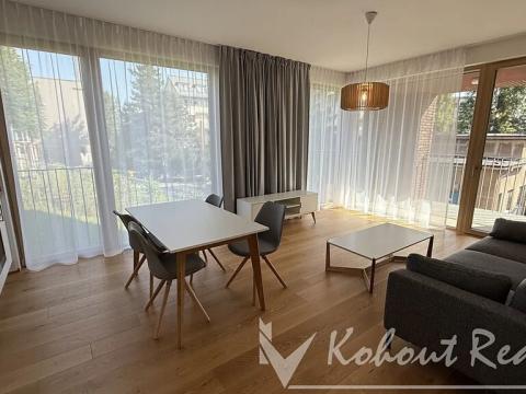 Pronájem bytu 2+kk, Praha - Dejvice, Pod Juliskou, 53 m2
