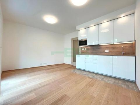 Pronájem bytu 1+kk, Praha - Žižkov, Olgy Havlové, 29 m2
