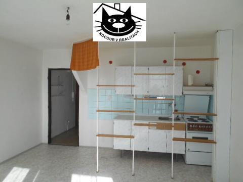 Pronájem bytu 1+kk, Příbram - Příbram VIII, Čechovská, 31 m2